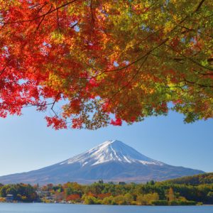 Japan Autumn Premium
